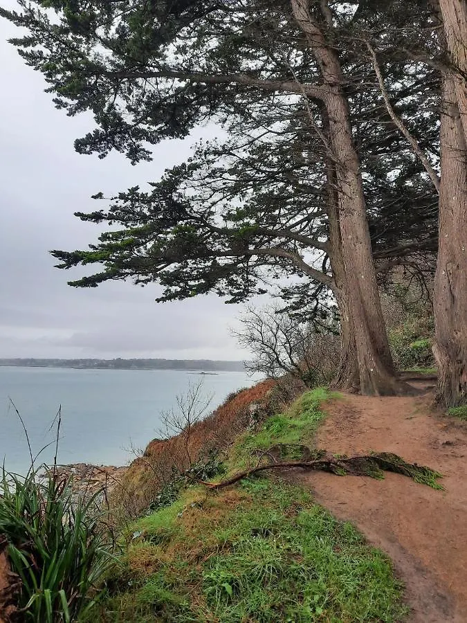 Appartement Vue Mer 50M De La Plage, Wifi Gratuit Perros-Guirec 0*,